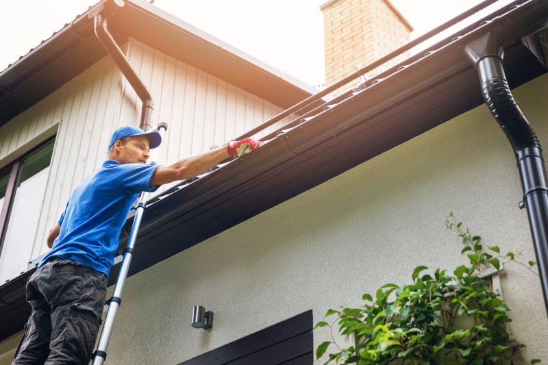 Gutter Cleaning Specialists